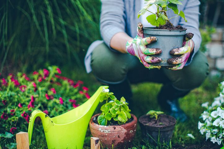 bricolage et jardinage